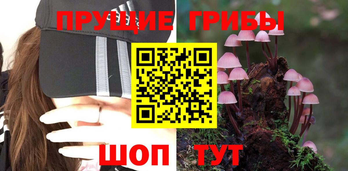 Псилоцибиновые грибы Magic Shrooms Луховицы