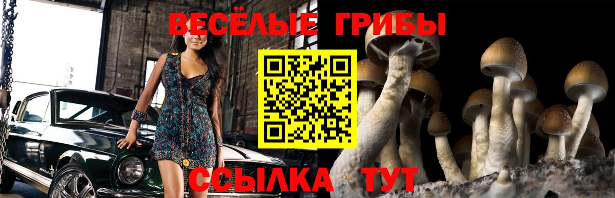 магазин продажи наркотиков  Псилоцибиновые грибы Cubensis  Вход с VPN  Галлюциногенные грибы ЛСД  Луховицы 